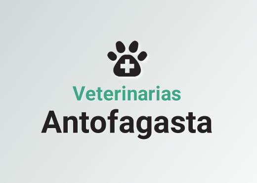 Veterinarias en Antofagasta