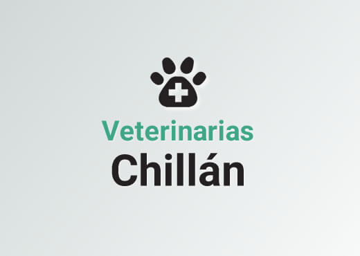 Veterinarias en Chillán
