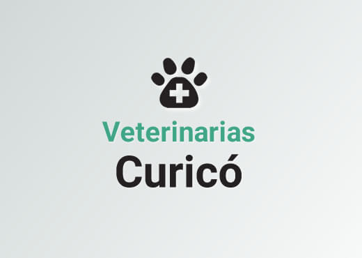 Veterinarias en Curicó