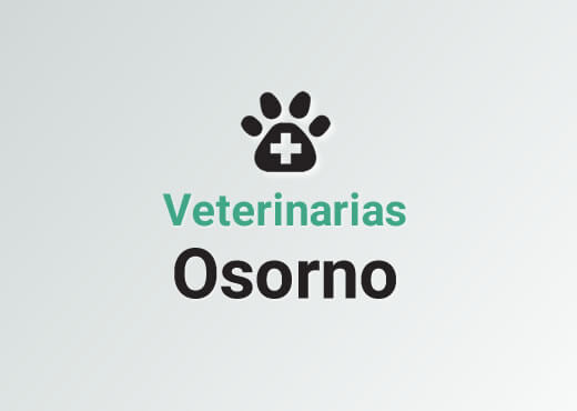 Veterinarias en Osorno