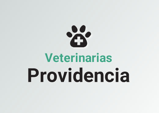 Veterinarias en Providencia