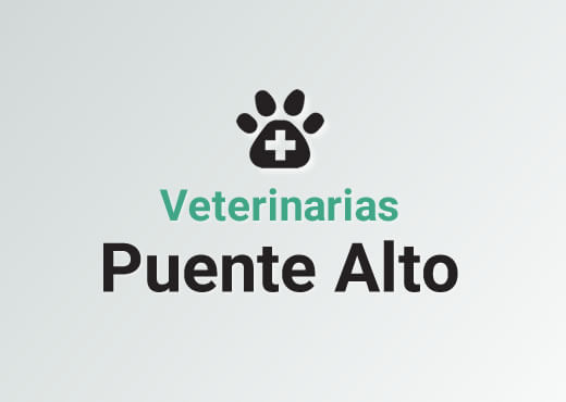 Veterinarias en Puente Alto