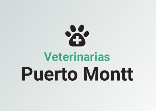 Veterinarias en Puerto Montt