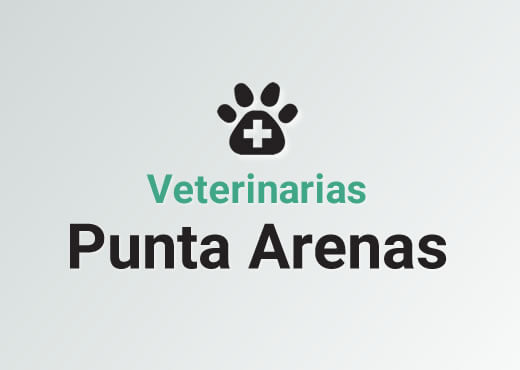 Veterinarias en Punta Arenas