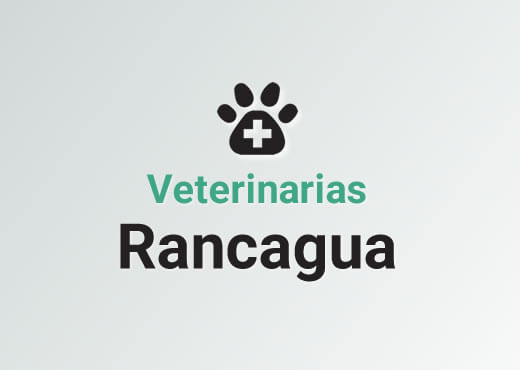 Veterinarias en Rancagua