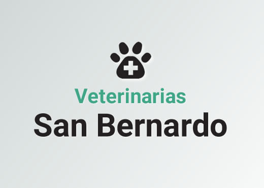 Veterinarias en San Bernardo