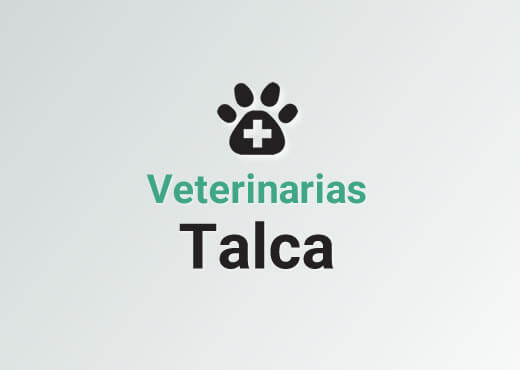 Veterinarias en Talca